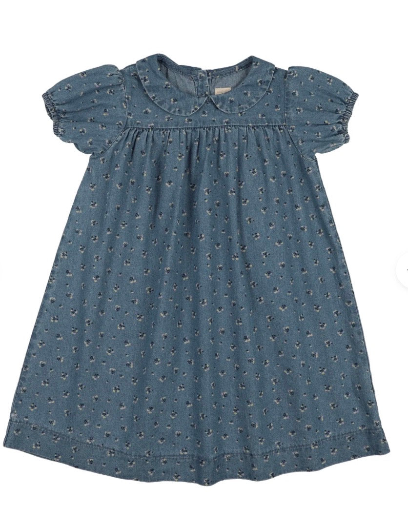 Dainty Denim dress