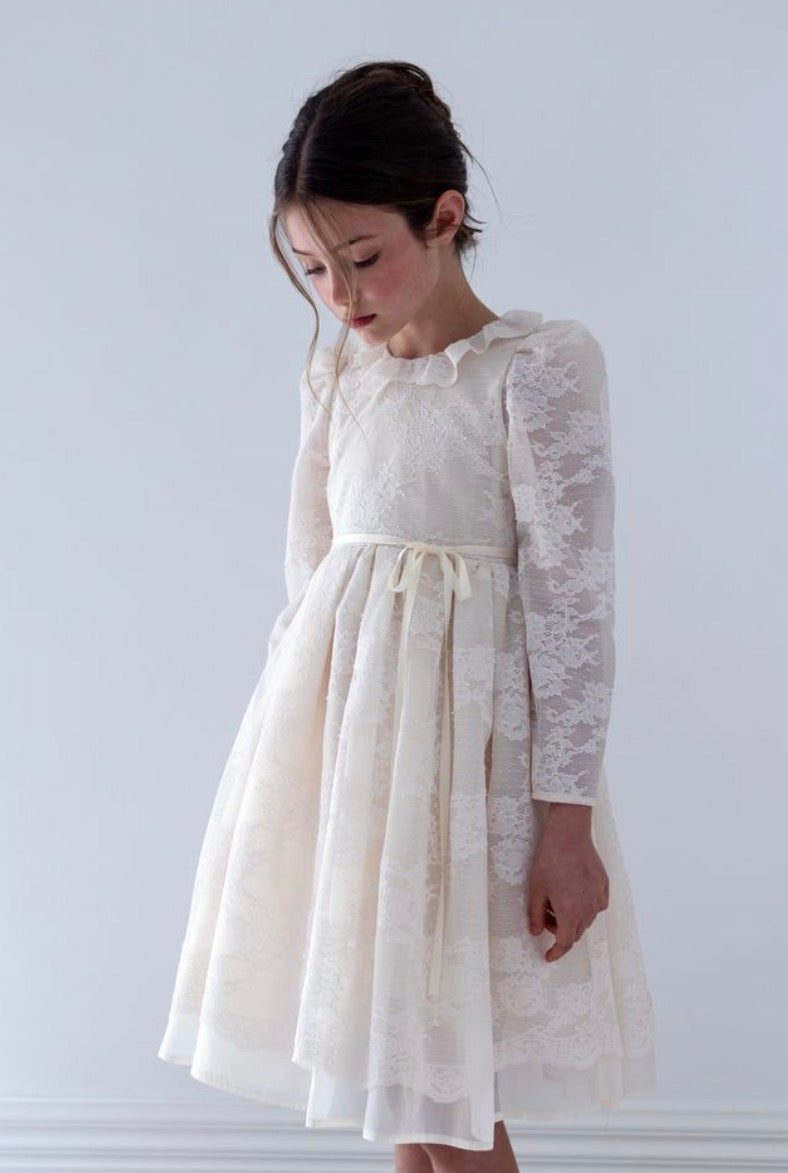 Lace Overlay Organza Dress