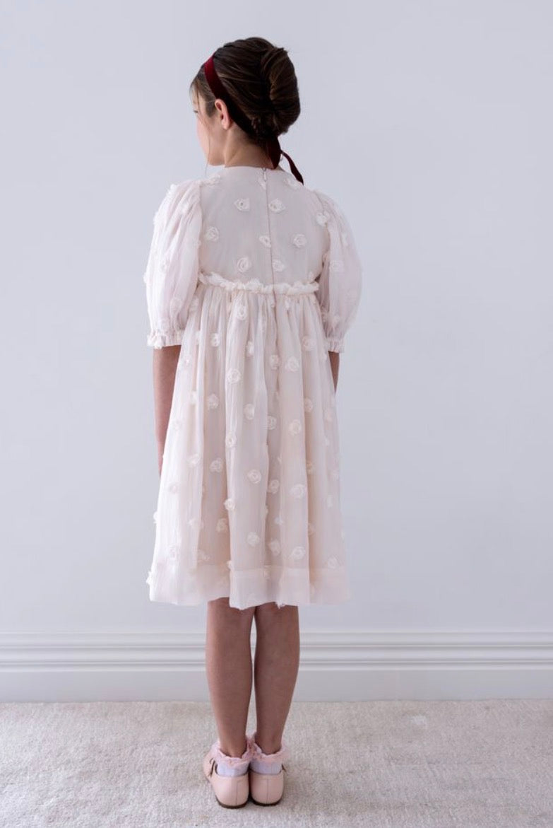 Organza Rosses Dress