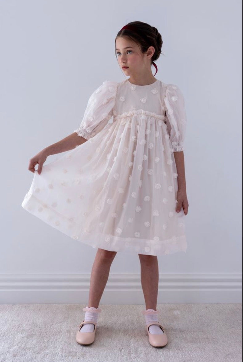 Organza Rosses Dress