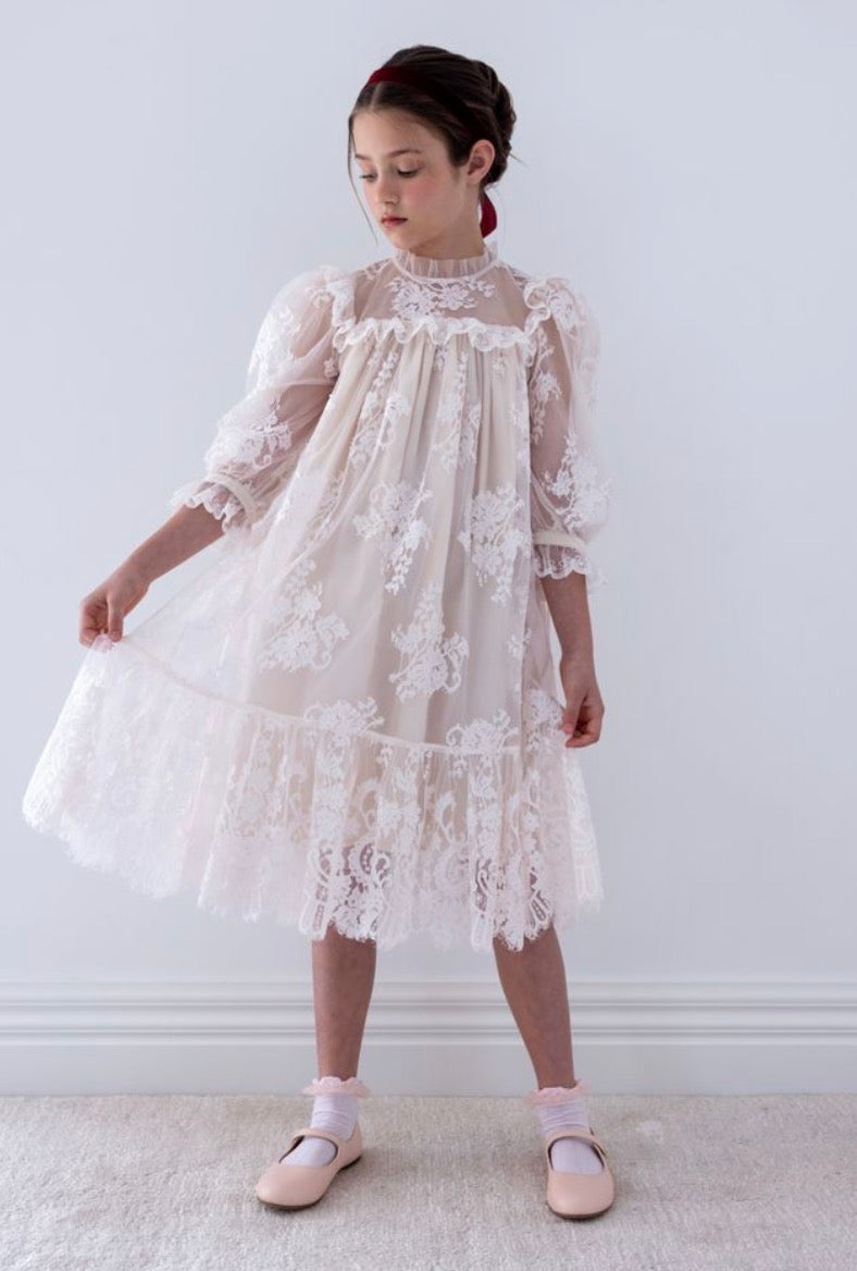 Cloud Pink Lace Dress