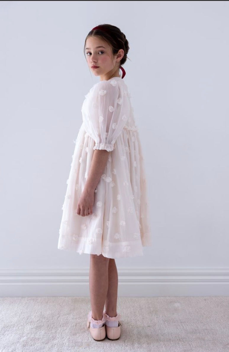 Organza Rosses Dress