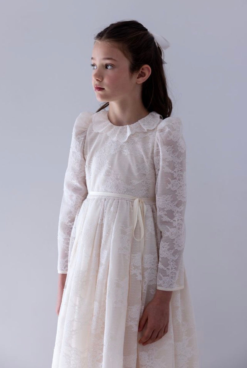 Lace Overlay Organza Dress