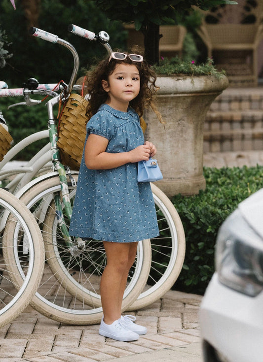 Dainty Denim dress