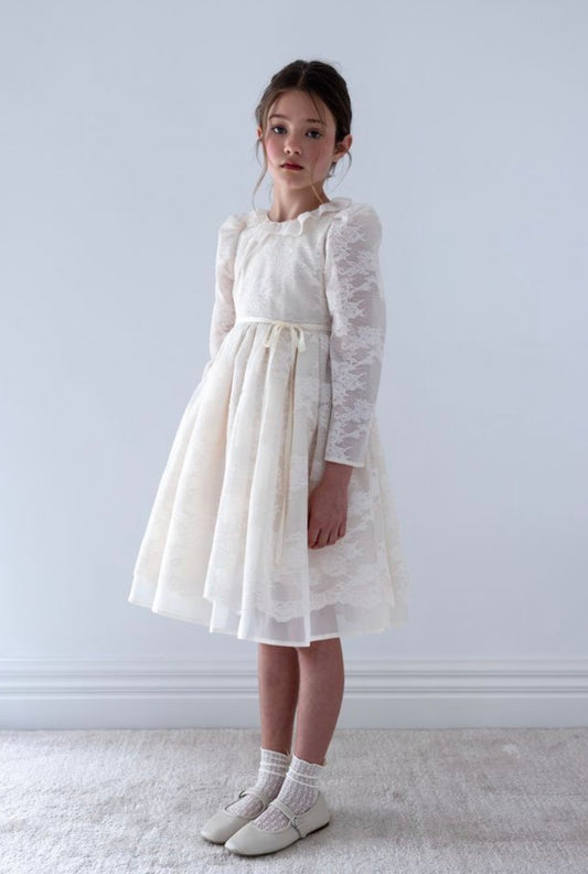 Lace Overlay Organza Dress