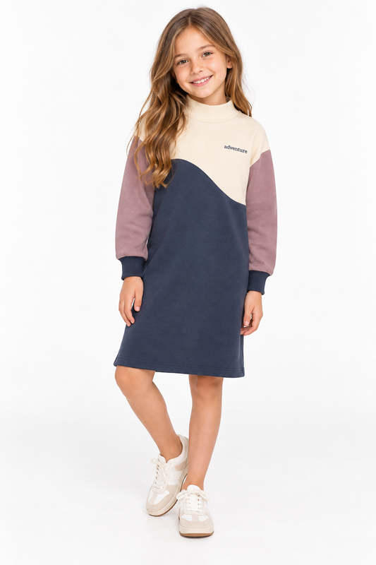 Colorblock Dress